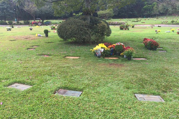 モルンビー墓地 写真右中央の鉢植えが集まった場所にセナの墓がある