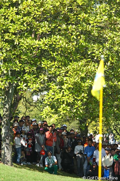 2010年 中日クラウンズ 初日 石川遼 15番の3打目はこの木の茂みの中を通した石川遼