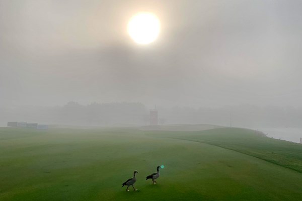 2021年 アブダビHSBCゴルフ選手権 事前 アブダビGC 川村昌弘 朝方は霧が…砂漠にあるコースが幻想的に