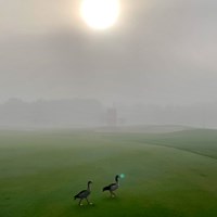 朝方は霧が…砂漠にあるコースが幻想的に 2021年 アブダビHSBCゴルフ選手権 事前 アブダビGC 川村昌弘
