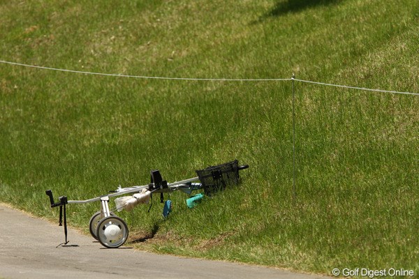 2010年 リゾートトラストレディス 2日目 手引きカート
