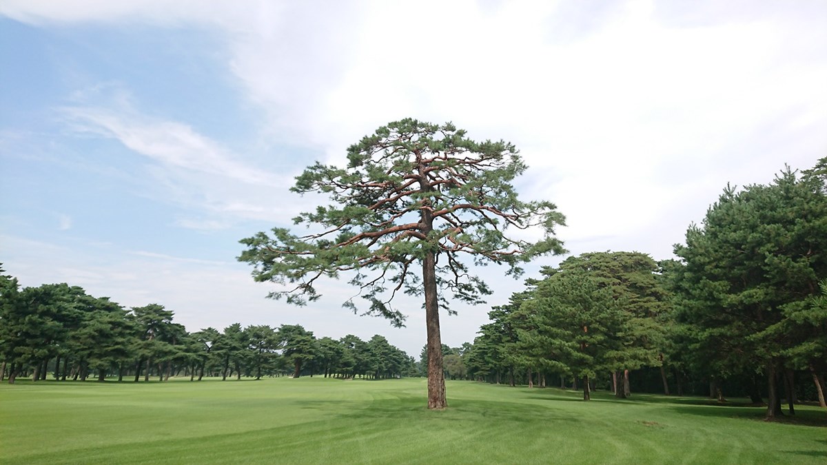 霞ヶ関カンツリー倶楽部