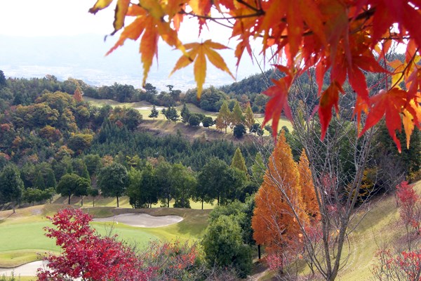 明智ゴルフ倶楽部 ひるかわゴルフ場 秋の紅葉は絶景のゴルフ場で味わいたい（画像提供:明智ゴルフ倶楽部 ひるかわゴルフ場）