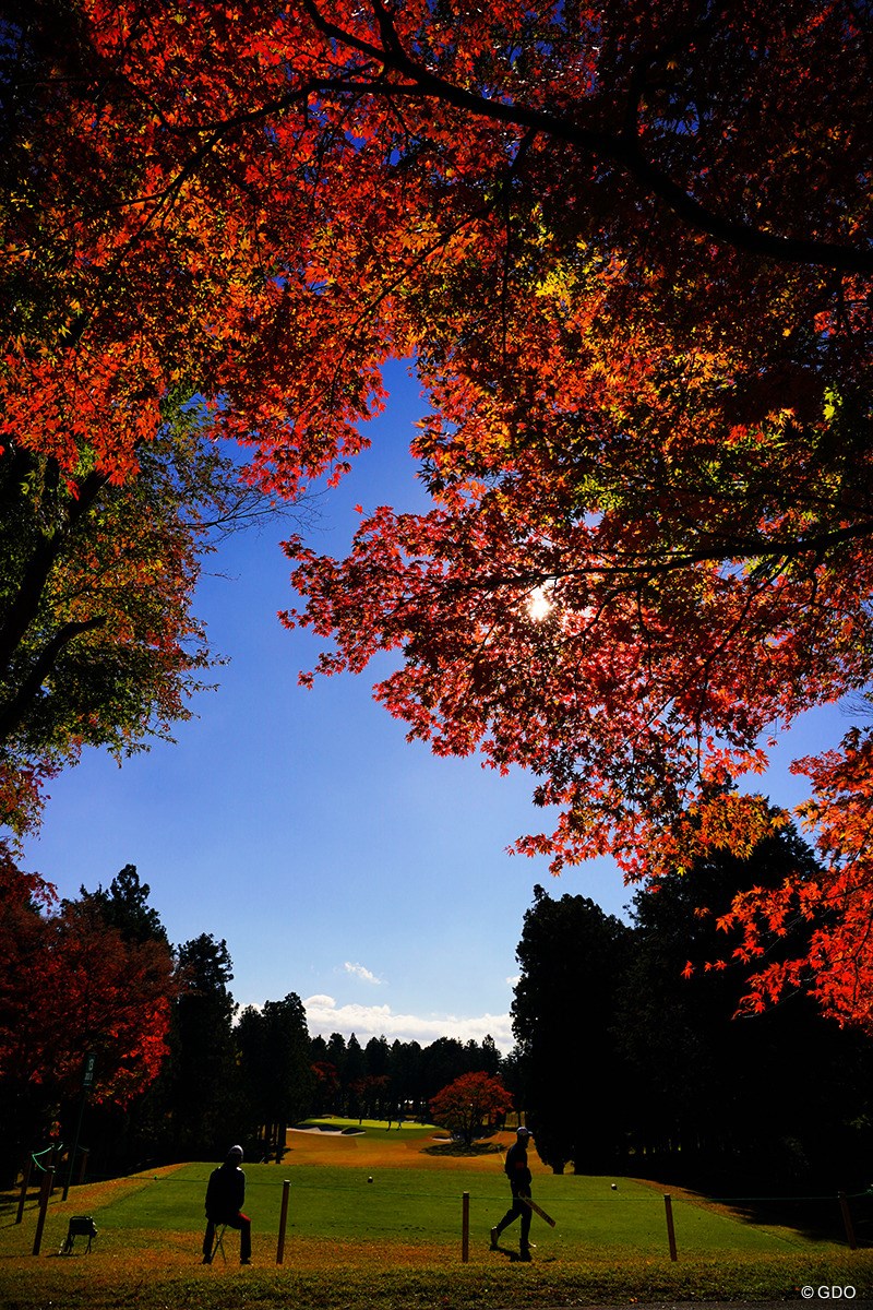 2021年 三井住友VISA太平洋マスターズ 初日 紅葉