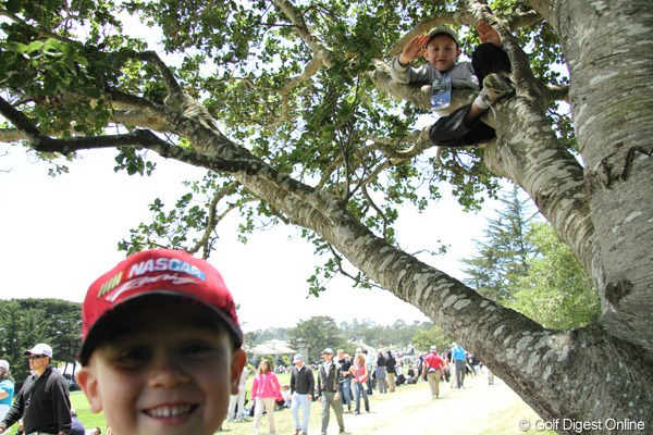 1番ホールのフェアウェイ横にある木に登って遊ぶ兄弟。ゴルフは二の次