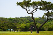 2022年 ダイキンオーキッドレディスゴルフトーナメント 4日目 西村優菜