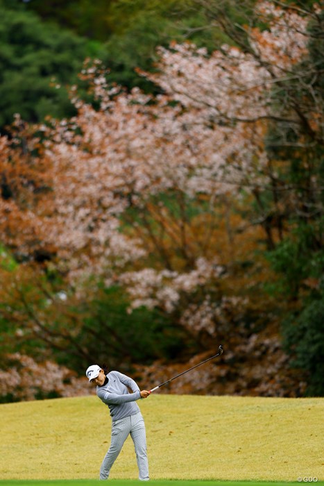 さくら選手と桜。9位でフィニッシュ 2022年 Tポイント×ENEOSゴルフトーナメント 最終日 横峯さくら