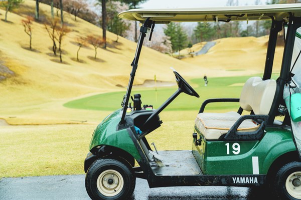 ゴルフ日和 ザ ナショナルカントリー倶楽部 埼玉 2人乗りカートでフェアウェイへの乗り入れが可能