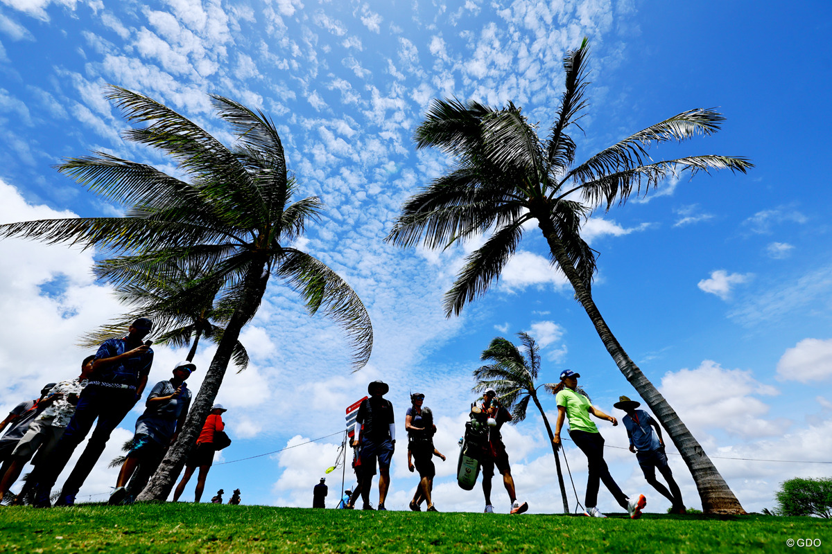 ワイハー 22年 ロッテ選手権 3日目 渋野日向子 フォトギャラリー Gdo