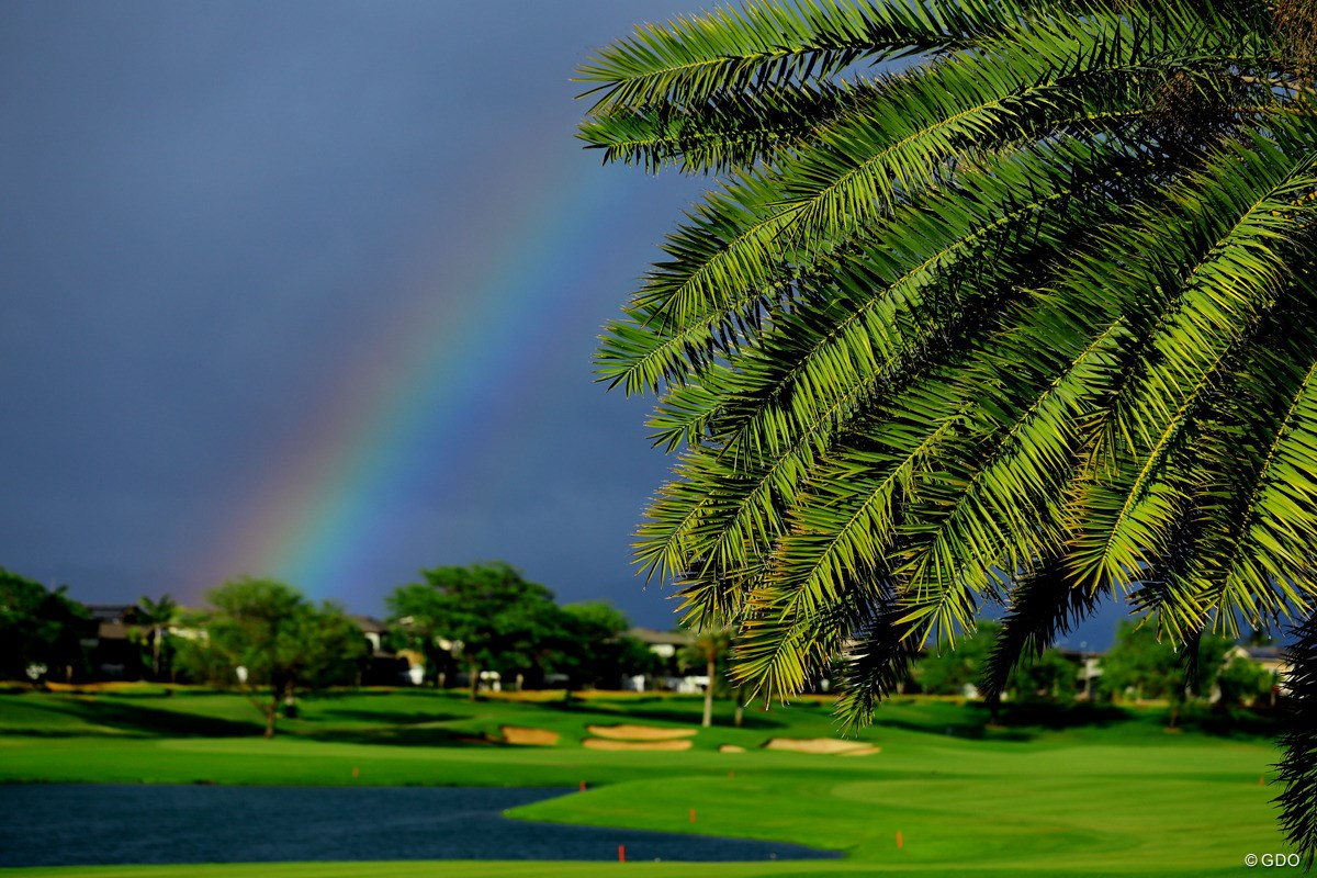 2022年 ロッテ選手権 4日目 コース