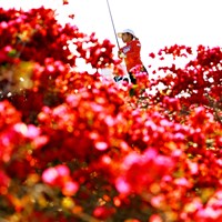 ウェアと花の色が合っている 2022年 パロスバーデス選手権  presented by バンク・オブ・アメリカ 2日目 古江彩佳