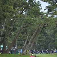 9番、斜めに立ちはだかる高い松林。 2022年 アジアパシフィックダイヤモンドカップゴルフ 最終日 時松隆光