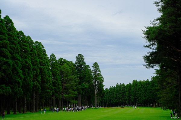 2022年 ニチレイレディス 2日目 袖ヶ浦カンツリークラブ 舞台は林間コースです