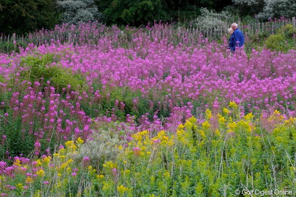 2010年 全英リコー女子オープン2日目 花畑 雨の日でも、色鮮やかな風景が広がってます