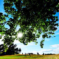 ゴルフ場に緑が少ない 2022年 ジェネシス・スコットランドオープン 初日 松山英樹