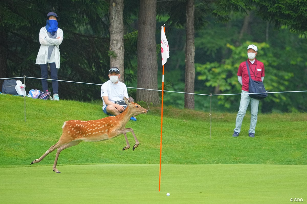 2022年 大東建託・いい部屋ネットレディス 2日目 鹿