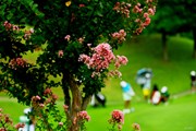 2022年 ゴルフ5レディス プロゴルフトーナメント 初日 コース