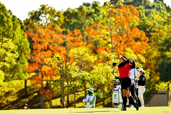 2022年 伊藤園レディスゴルフトーナメント 初日 ささきしょうこ 深まる秋