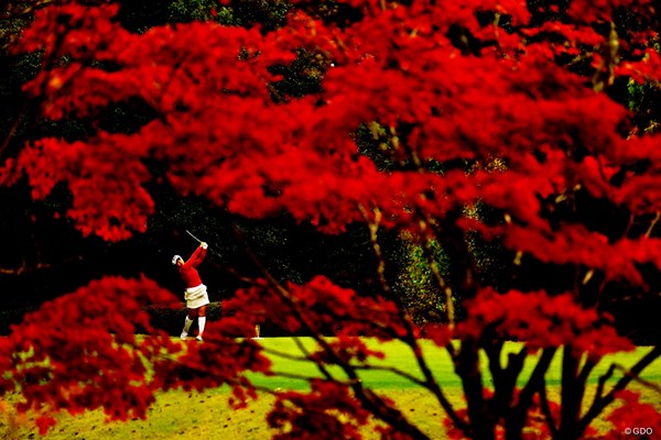 2022年 伊藤園レディスゴルフトーナメント 最終日 山下美夢有 6番ホールの紅葉