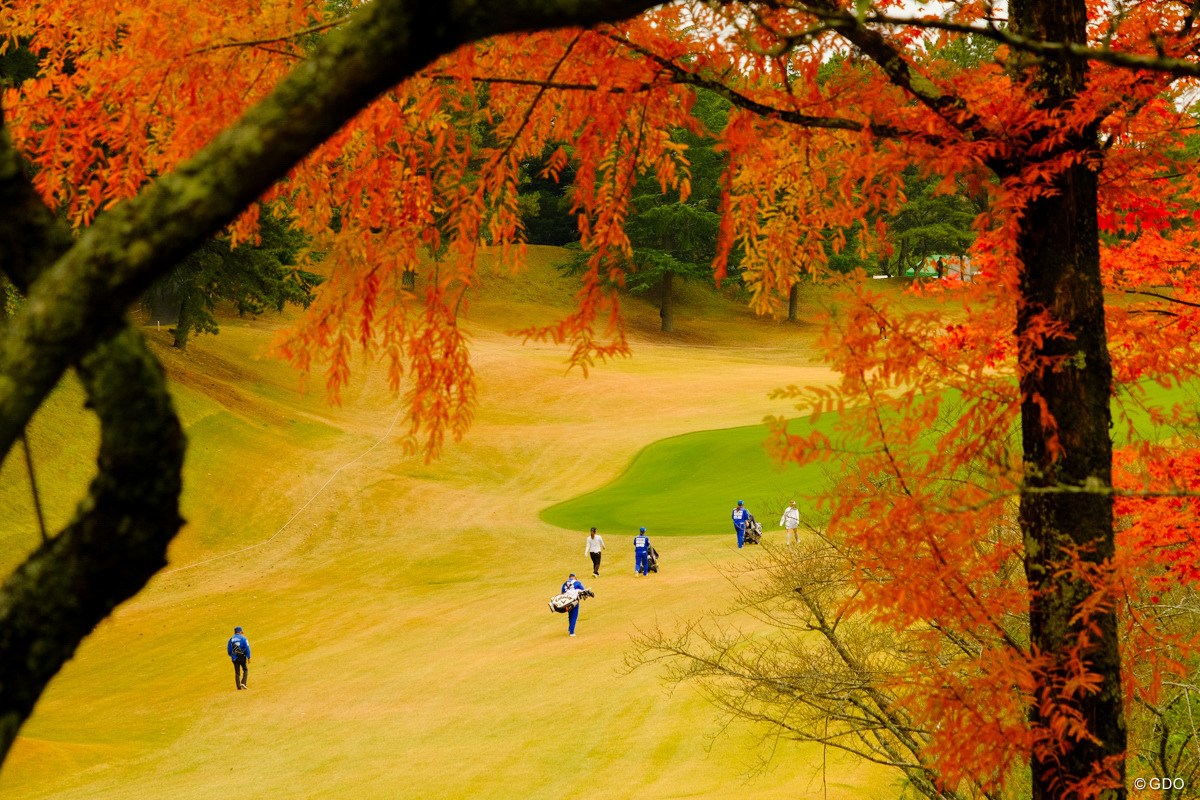 2022年 大王製紙エリエールレディスオープン 初日 Hole13