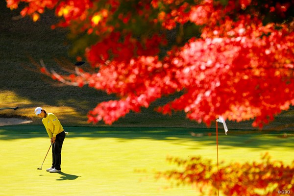 秋のゴルフの風景