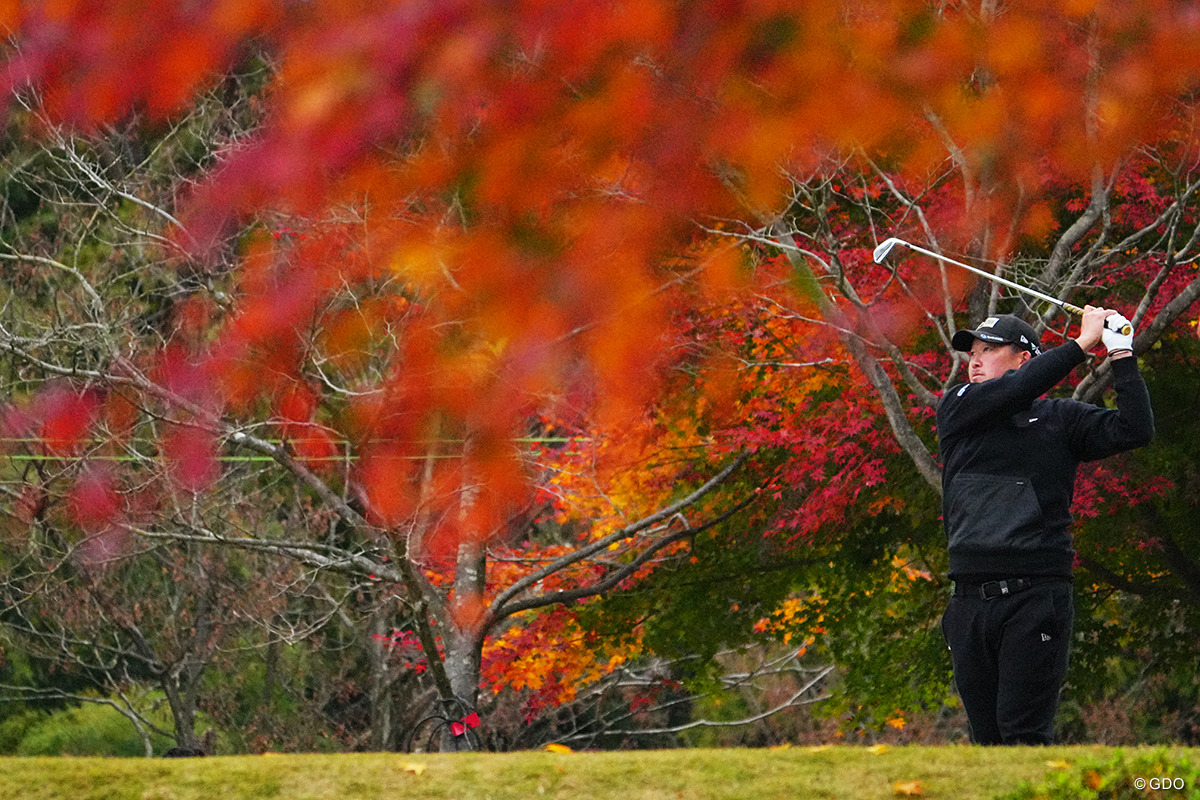 紅葉を観に、東京よみうりへ来てみては？