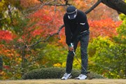 2022年 ゴルフ日本シリーズJTカップ 3日目 岩田寛