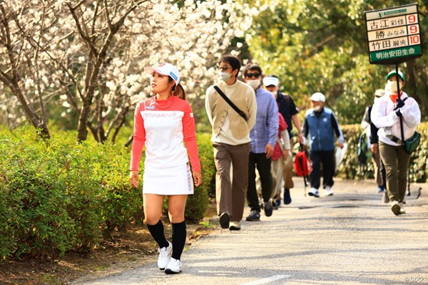 2023年 明治安田生命レディス ヨコハマタイヤゴルフトーナメント 最終日 古江彩佳 桜の季節です