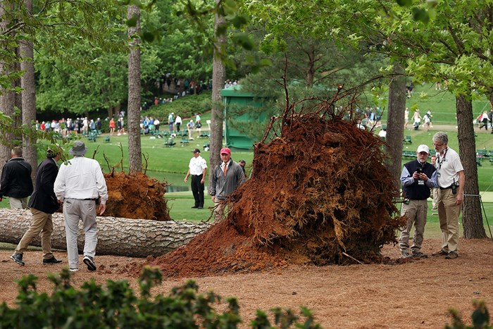 オーガスタナショナルGC内の大木が2日目に倒れた(Patrick Smith/Getty Images) 2023年 マスターズ  2日目 オーガスタナショナルGC