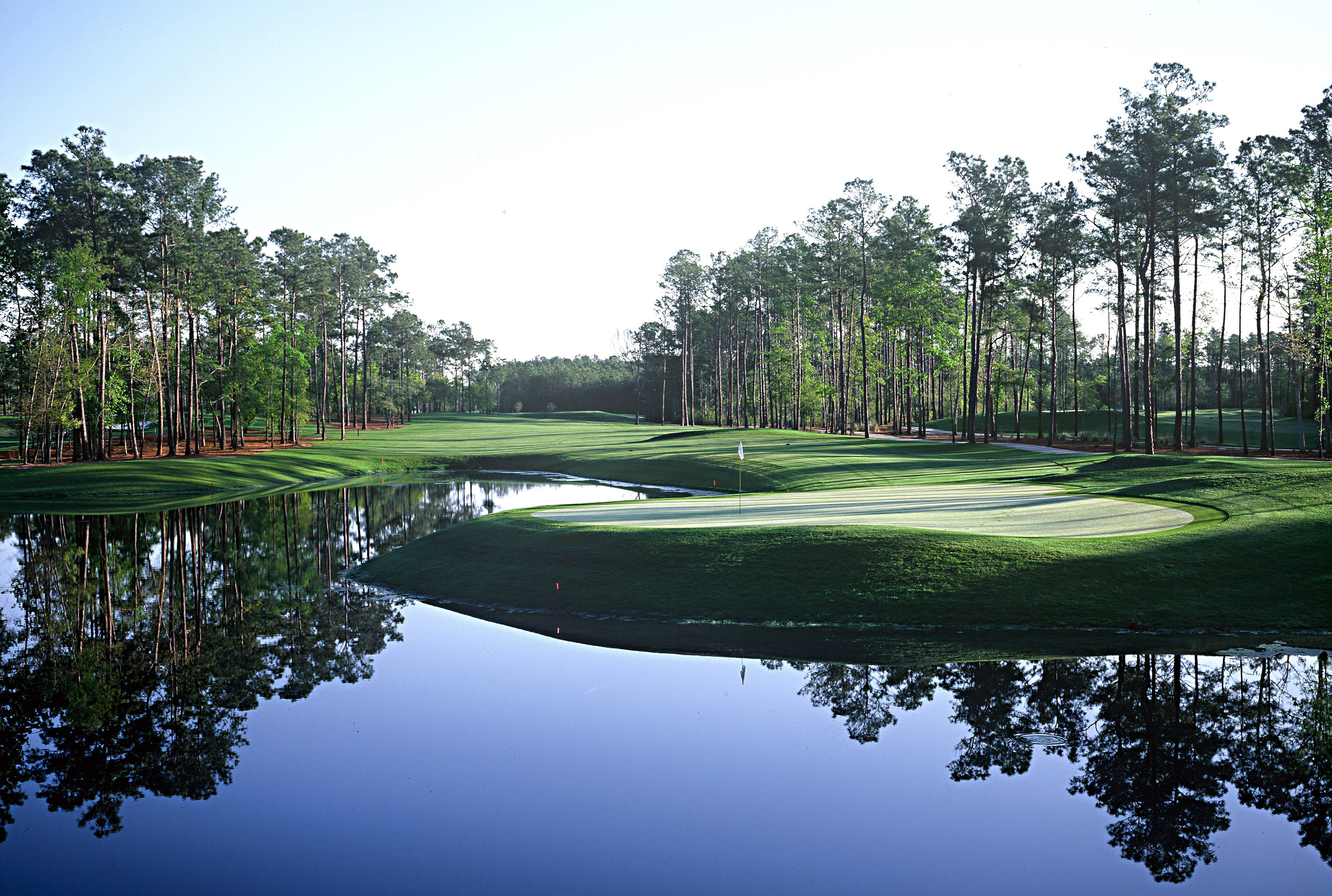 マートルビーチの数あるゴルフコースのひとつ、「TPC of Myrtle Beach」（1999年撮影/Pete Fontaine/Getty Images)