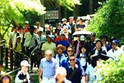 2023年 BMW 日本ゴルフツアー選手権 森ビルカップ 最終日 金谷拓実