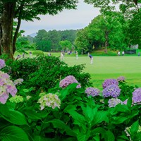 梅雨ですね 2023年 ASO飯塚チャレンジドゴルフトーナメント 3日目 紫陽花