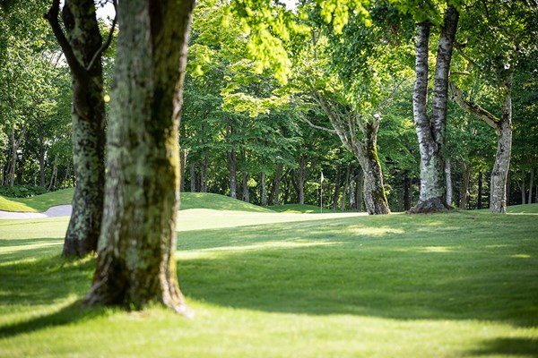 ゴルフ日和 恵庭CG 林の中まで敷き詰められた芝は、美しいコースをさらに引き立たせる