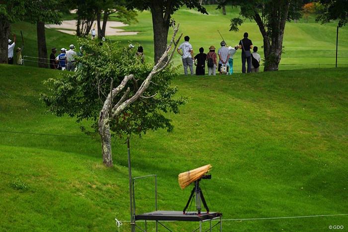 自然との調和 2023年 日本プロゴルフ選手権大会 3日目 7番ホール