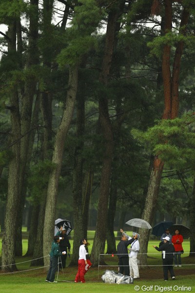 2010年 日本女子オープンゴルフ選手権競技初日 辛ヒョンジュ あ～ぁ、木に引っかかったボールが落ちて来ない・・・。