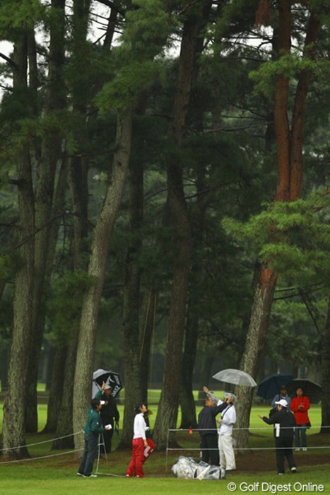 あ～ぁ、木に引っかかったボールが落ちて来ない・・・。 2010年 日本女子オープンゴルフ選手権競技初日 辛ヒョンジュ