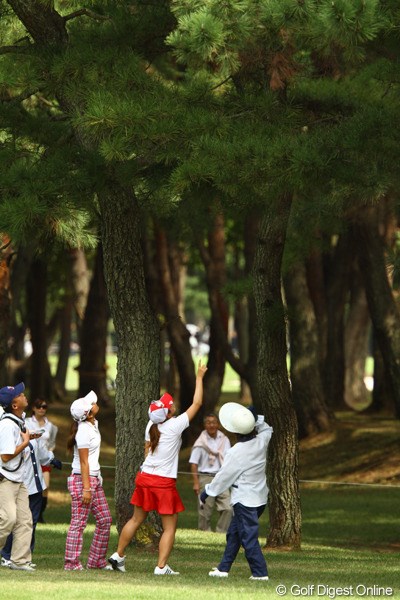 2010年 日本女子オープンゴルフ選手権競技最終日 3番ロングホールセカンド地点 藤本麻子選手のティショットは、松の葉の上に乗っかってしまったようです。しかし自分のボールかどうか確認できなければロストボールに・・・。