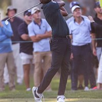 PGAツアー初勝利を飾ったサヒス・ティーガラの手にはニューアイアン(PGATOUR) 2023年 フォーティネット選手権 最終日 サヒス・ティーガラ