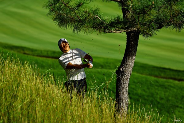 2023年 日本オープンゴルフ選手権競技 初日 石川遼 ラフからの対処が光った
