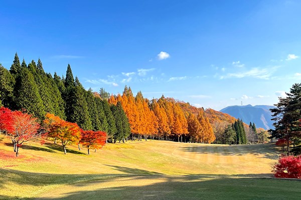 ゴルフ日和 生野高原CC 紅葉が美しい、標高600mの高原コース