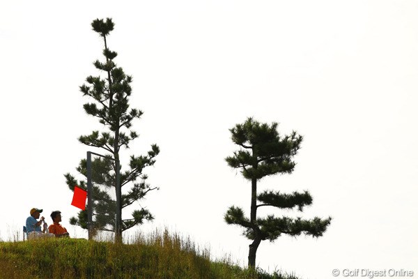 2010年 日本オープンゴルフ選手権競技 3日目 フォアキャディ ブラインドホールが多い愛知CCはフォアキャディだらけです。「赤い旗はまだ打たないでねぇ～。」