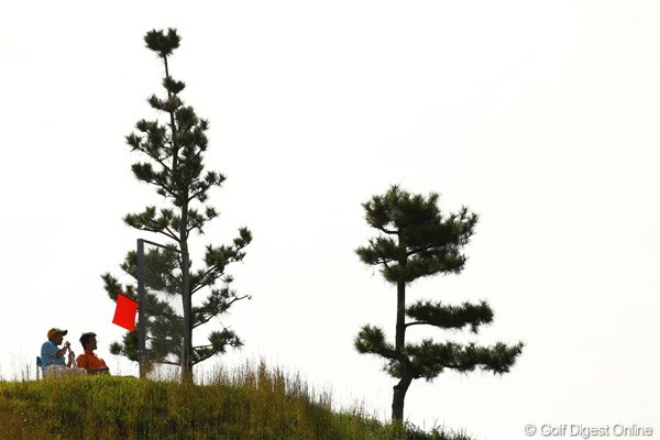 ブラインドホールが多い愛知ccはフォアキャディだらけです 赤い旗はまだ打たないでねぇ 10年 日本オープンゴルフ選手権競技 3日目 フォアキャディ フォトギャラリー Gdo ブラインドホールが多い愛知ccはフォアキャディだらけです 赤い旗はまだ打たないでねぇ 10年 日本オープンゴルフ選手権競技 3日目 フォアキャディ フォトギャラリー Gdo