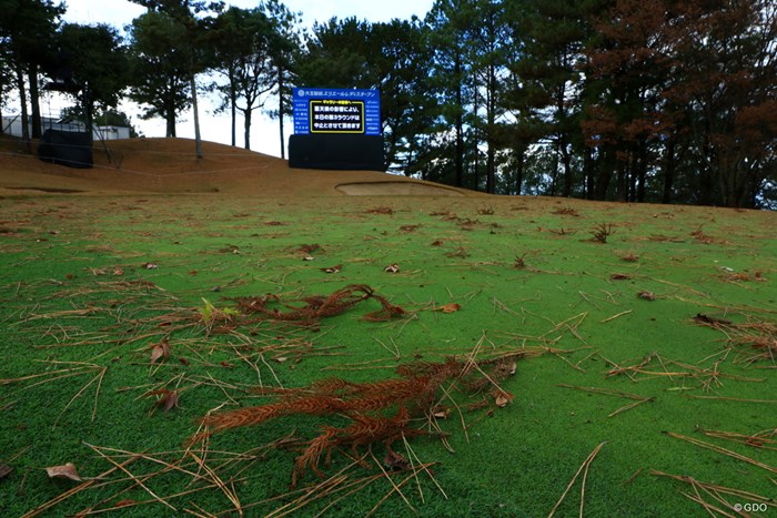 3日目は悪天候のため3競技中止に。風の影響でグリーン上は枝葉で埋もれた 2023年 大王製紙エリエールレディスオープン 3日目 コース