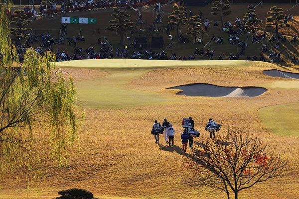 2023年 ゴルフ日本シリーズJTカップ 初日 グリーンに向かって歩く選手たちに夕陽が当たる（撮影：阿部未悠）