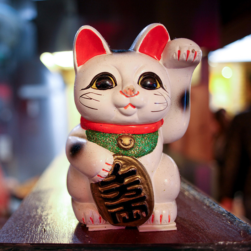 1日10回の“猫トレ”でこの冬ちゃんと「ハンドファースト」！