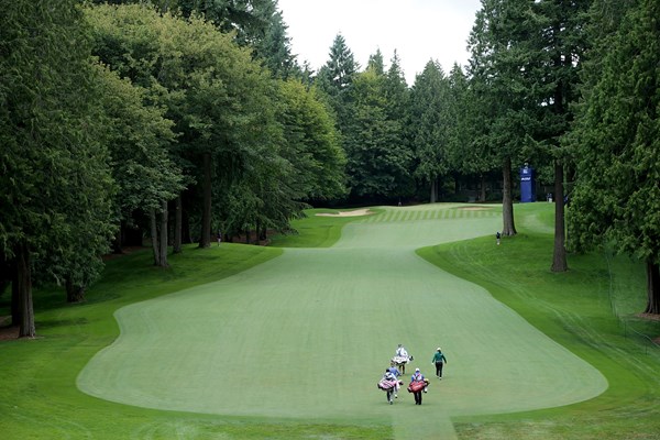 2024年 KPMG全米女子プロゴルフ選手権 事前 サハリーCC 高い木々がホールを囲む林間コース  (Jeff Gross/Getty Images)