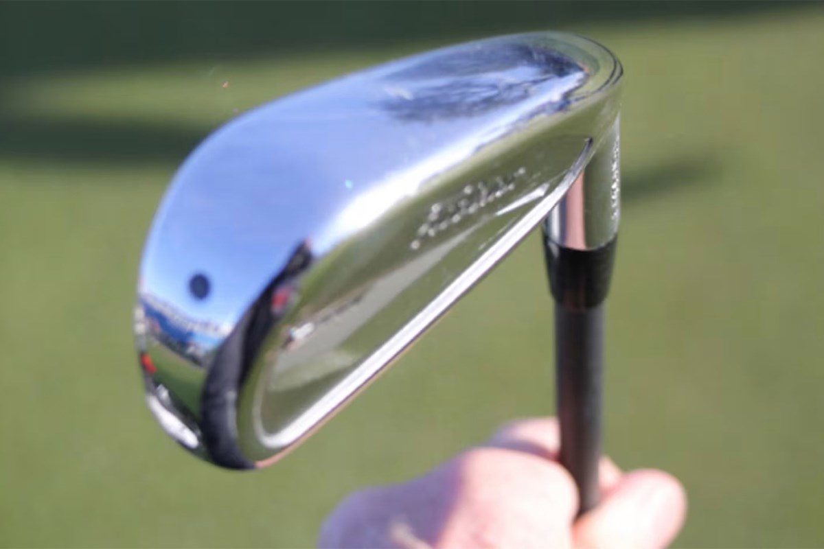 ウィル・ザラトリス