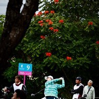 沖縄っぽい花が咲いている 2024年 ダイキンオーキッドレディスゴルフトーナメント 2日目 原江里菜