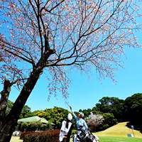 鹿児島は春です 2024年 Vポイント×ENEOS ゴルフトーナメント 初日 鶴岡果恋