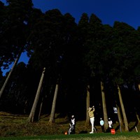 木々 2024年 Vポイント×ENEOS ゴルフトーナメント 初日 横峯さくら